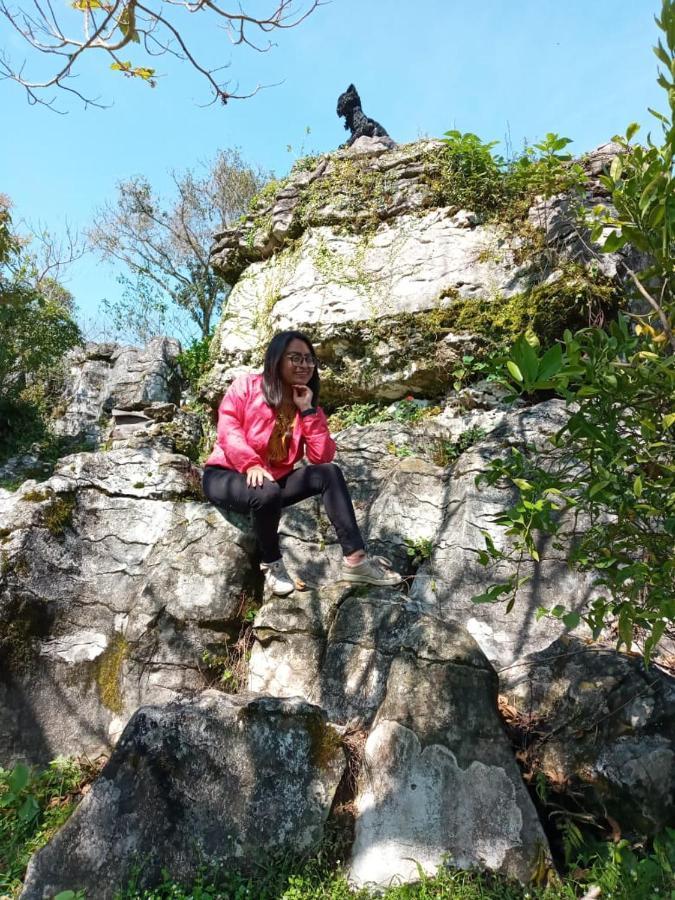 ホテルCamp La Gruta Del Duende Cuetzalán del Progreso エクステリア 写真