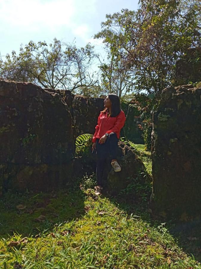 ホテルCamp La Gruta Del Duende Cuetzalán del Progreso エクステリア 写真