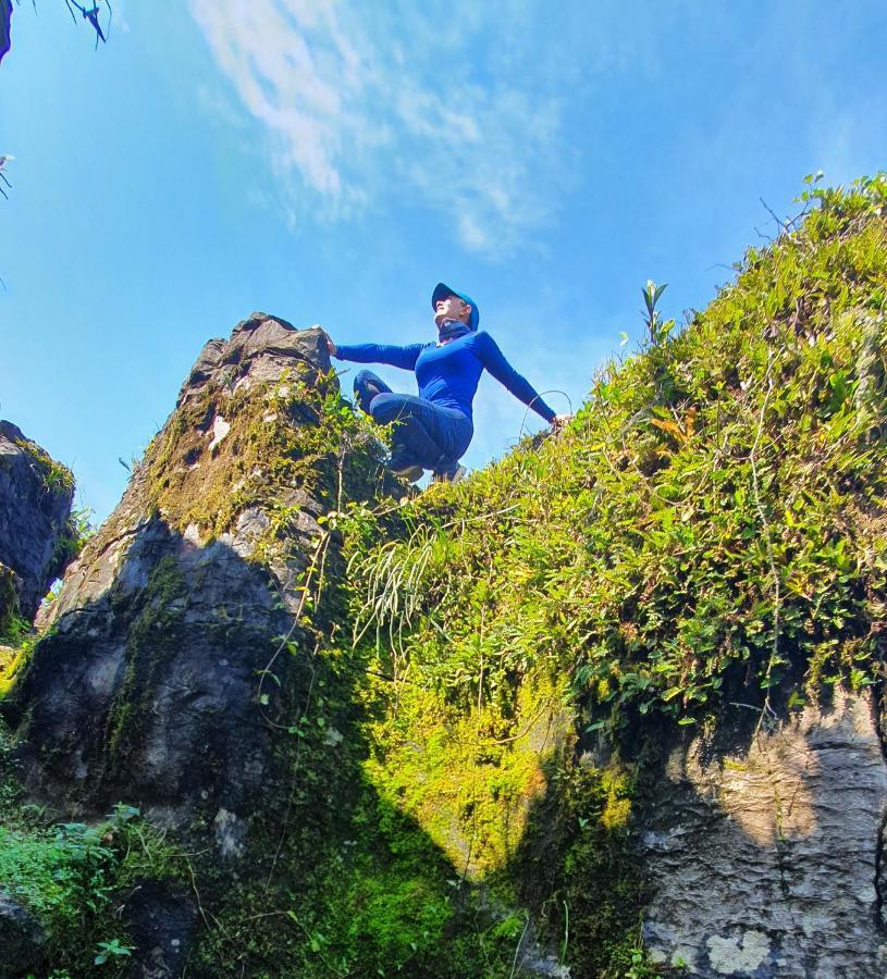 ホテルCamp La Gruta Del Duende Cuetzalán del Progreso エクステリア 写真